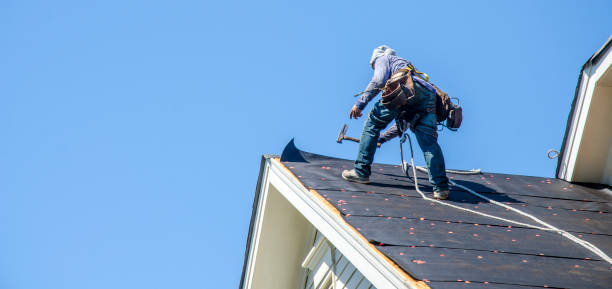 Best Residential Roof Replacement  in Assumption, IL
